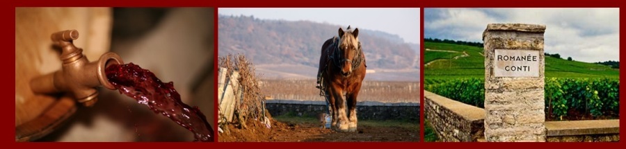 Romanee Conti вино DRC: романе конти монраше ля таш гран эшезо ришбур романе сен виван цена купить москва импортёр